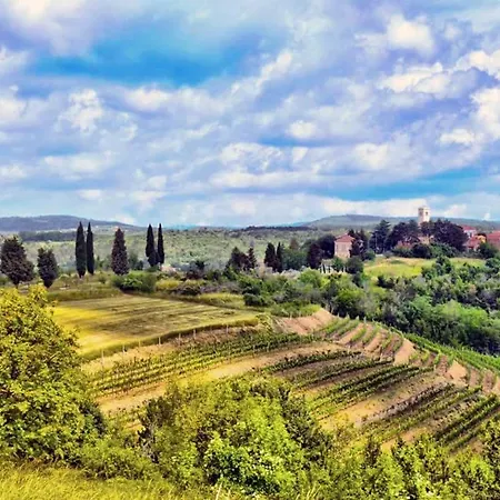Вилла Mare - A Natural Paradise Near Motovun Brkac