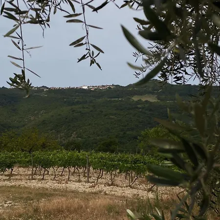 Вилла Mare - A Natural Paradise Near Motovun *