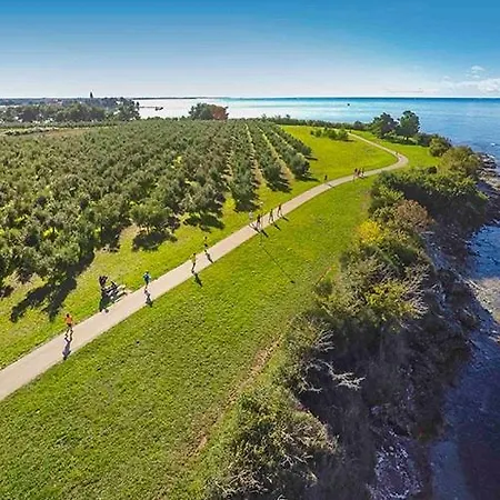 Mare - A Natural Paradise Near Motovun Вилла